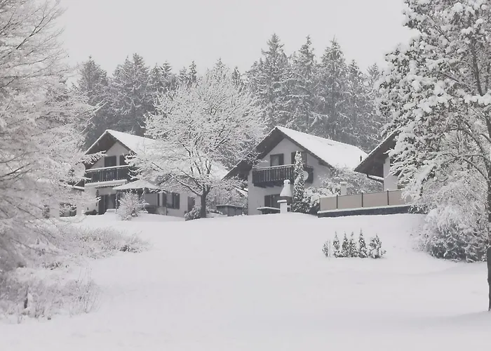 Diane Kirchheim (Hessen)