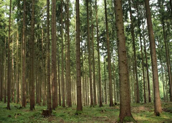 Diane Semesterbostad